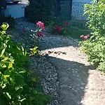 Rose Resort, 40m2 For 4 Guests, With Terrace