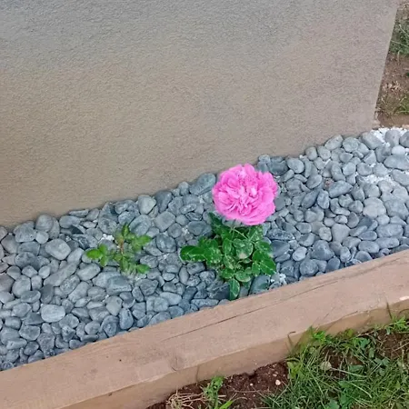 Rose Resort, 40m2 For 4 Guests, With Terrace Проживание в семье Любляна