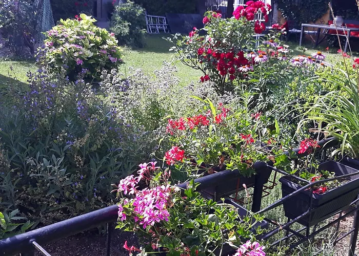 Rose Resort, 40m2 For 4 Guests, With Terrace * Liubliana