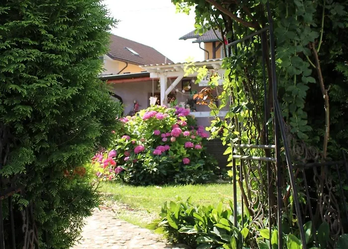 Rose Resort, 40m2 For 4 Guests, With Terrace Habitación en casa particular *