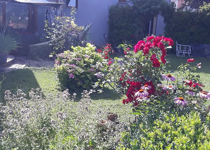 Rose Resort, 40m2 For 4 Guests, With Terrace *