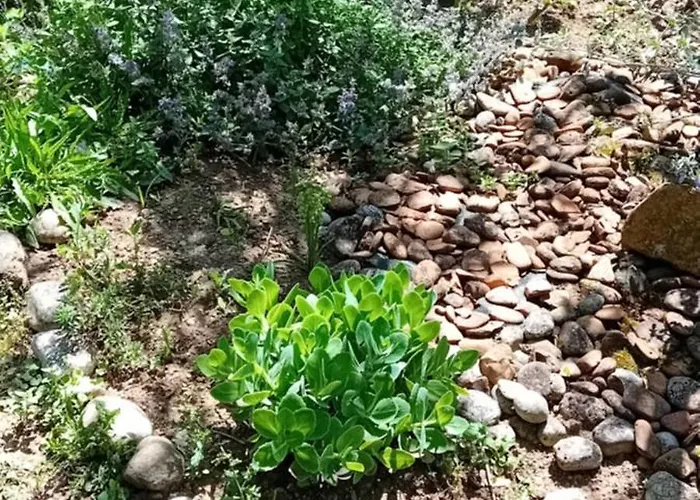 Rose Resort, 40m2 For 4 Guests, With Terrace * Lublaň