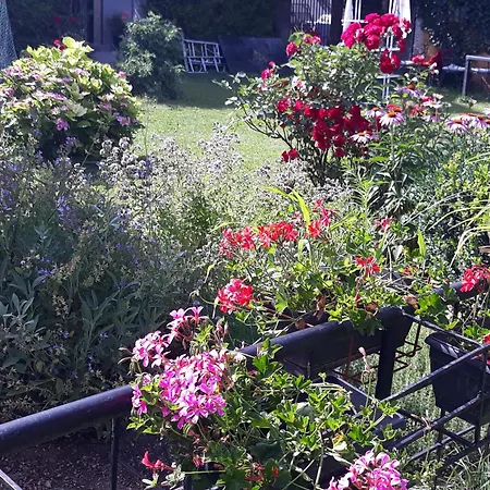 Rose 40m2 With Terrace 25m2 In Greeny Area For 4 Person * Ljubljana