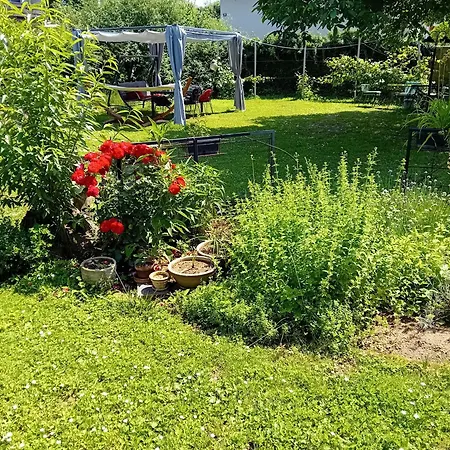 Rose 40m2 With Terrace 25m2 In Greeny Area For 4 Person * Ljubljana