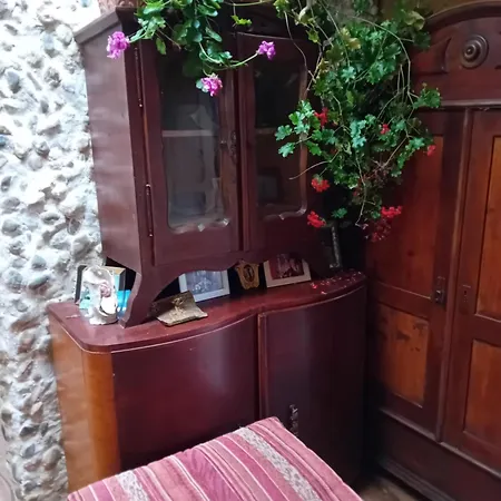 Rose 40m2 With Terrace 25m2 In Greeny Area For 4 Person Homestay