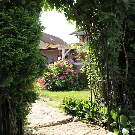 Rose 40m2 With Terrace 25m2 In Greeny Area For 4 Person Homestay *