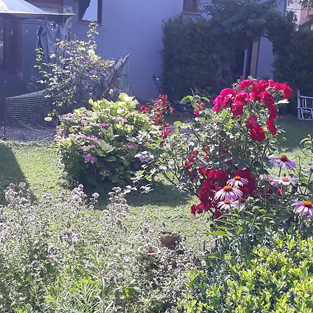 Rose 40m2 With Terrace 25m2 In Greeny Area For 4 Person *