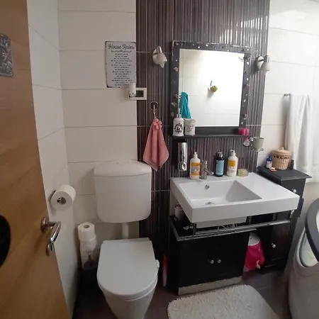 Homestay Rose 40m2 With Terrace 25m2 In Greeny Area For 4 Person Ljubljana