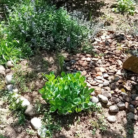 Rose 40m2 With Terrace 25m2 , Outdoor Cooking In Greeny Area For 4 Person * Λιουμπλιάνα