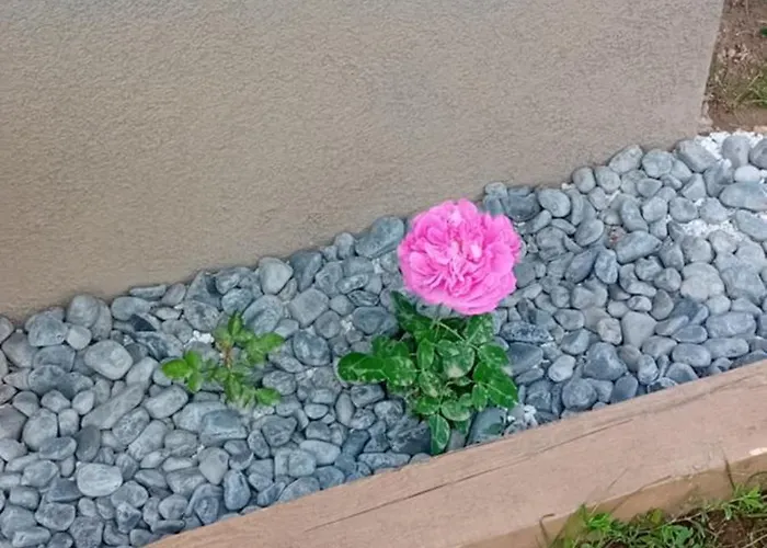 Rose Resort, 40m2 For 4 Guests, With Terrace Ubytování v soukromí Lublaň