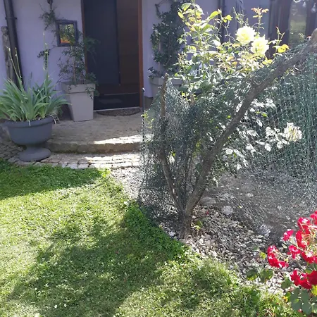 Rose 40m2 With Terrace 25m2 , Outdoor Cooking In Greeny Area For 4 Person Homestay *